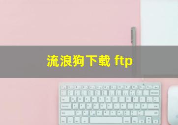 流浪狗下载 ftp